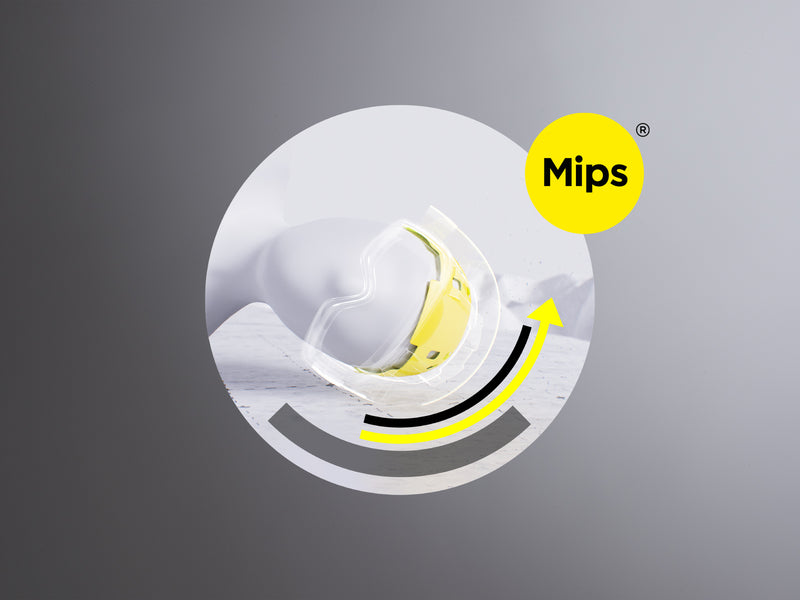 MIPS® Protection System